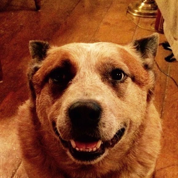 Meet your Posher, Janet - Picture 1 of 1